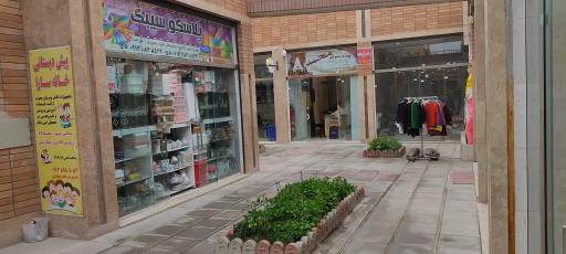 عکس پلاسکو سیبک 