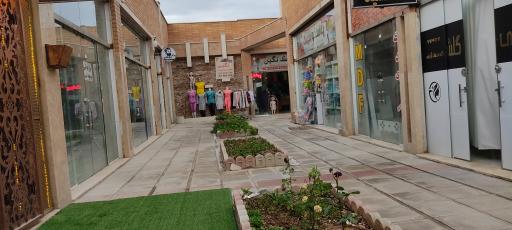 عکس پلاسکو سیبک 