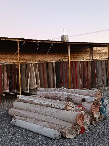 عکس قالیشویی ترنج