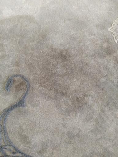 عکس قالیشویی ترنج