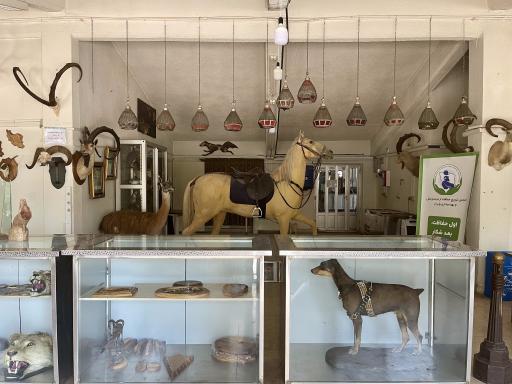 نمایشگاه تاکسیدرمی