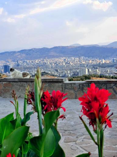عکس استخر ائل باغی