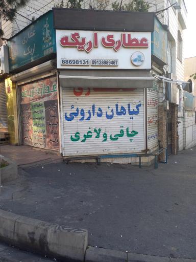 عکس عطاری و داروهای گیاهی اریکه