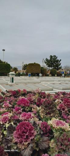 عکس آرامگاه شهید مدرس