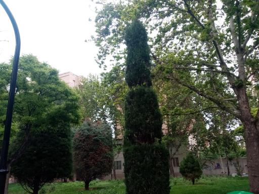 عکس بوستان لاله