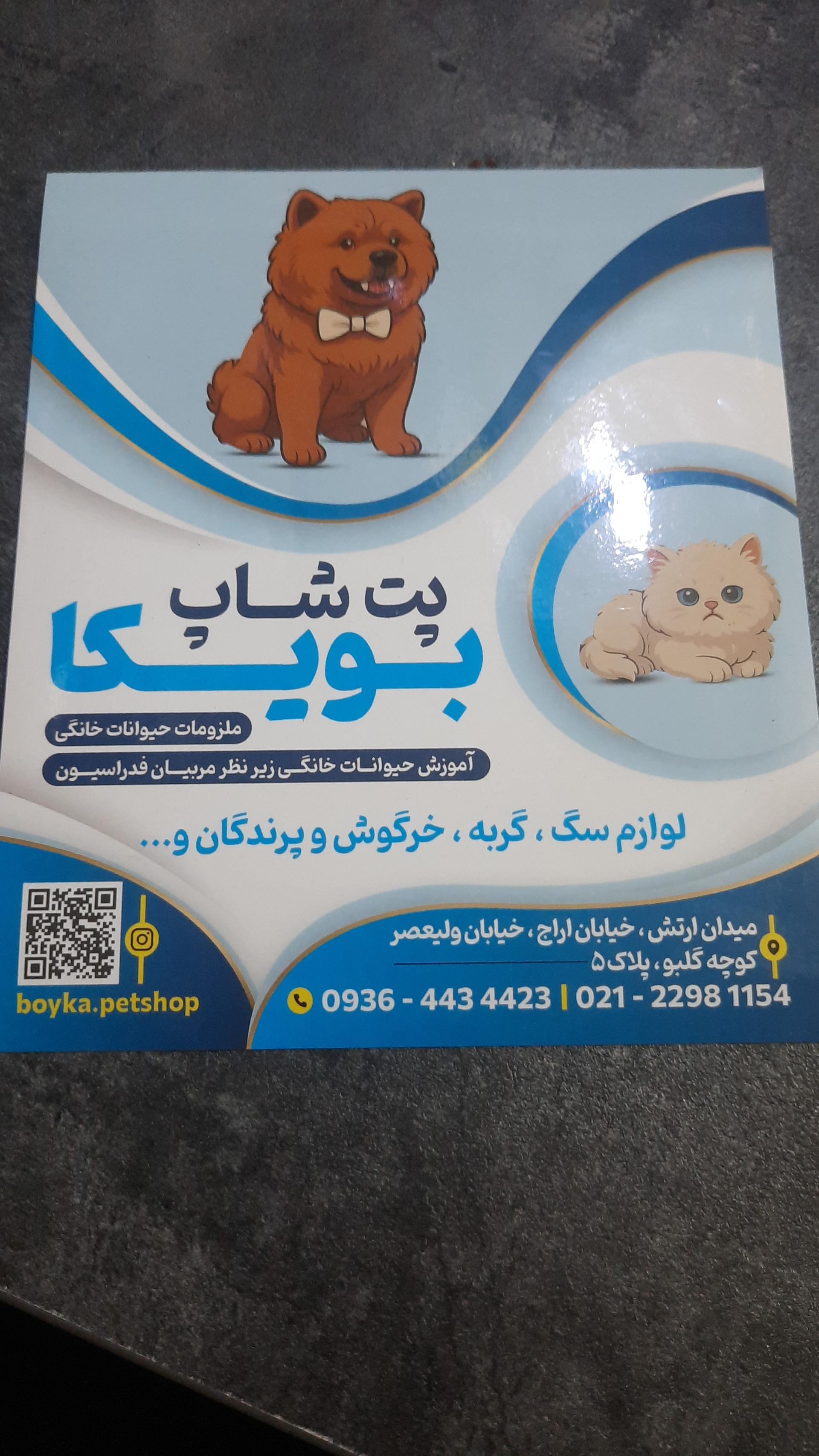 عکس پت شاپ بویکا 