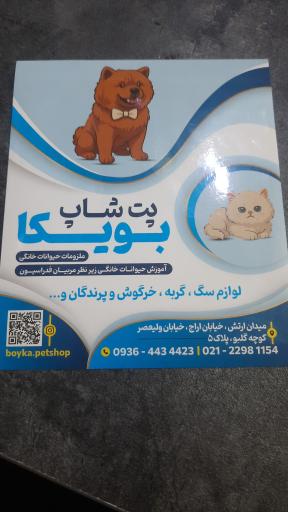 عکس پت شاپ بویکا 