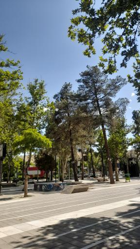 عکس بوستان لاله