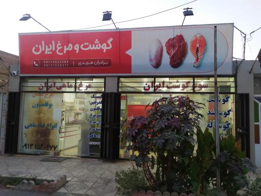 عکس گوشت و مرغ ایران