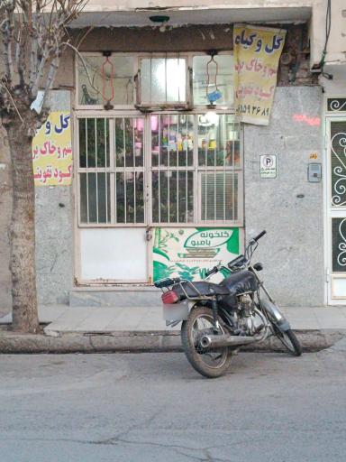 عکس گل فروشی بامبو