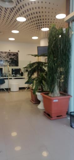 عکس مدیریت شعب بانک سامان