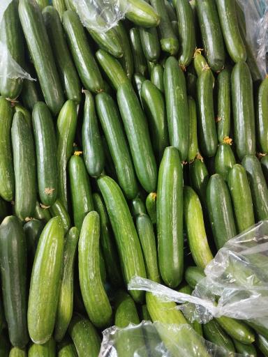 عکس میوه فروشی فراهانی