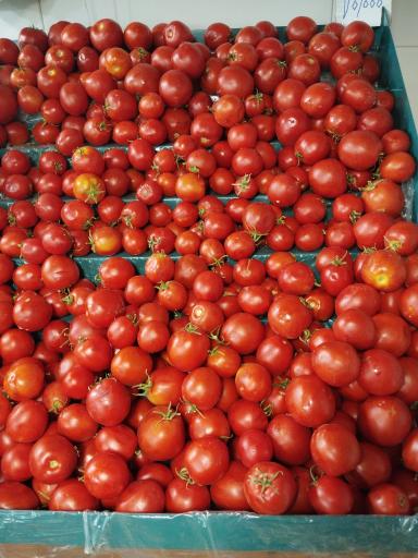 عکس میوه فروشی فراهانی