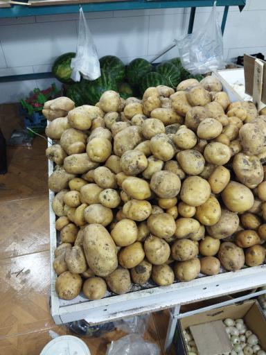 عکس میوه فروشی فراهانی