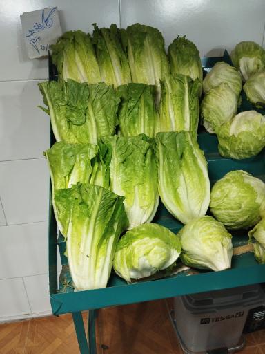 عکس میوه فروشی فراهانی