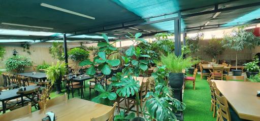 عکس باغ بوفه یاسمینو