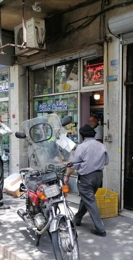 عکس پرتیکان برودت