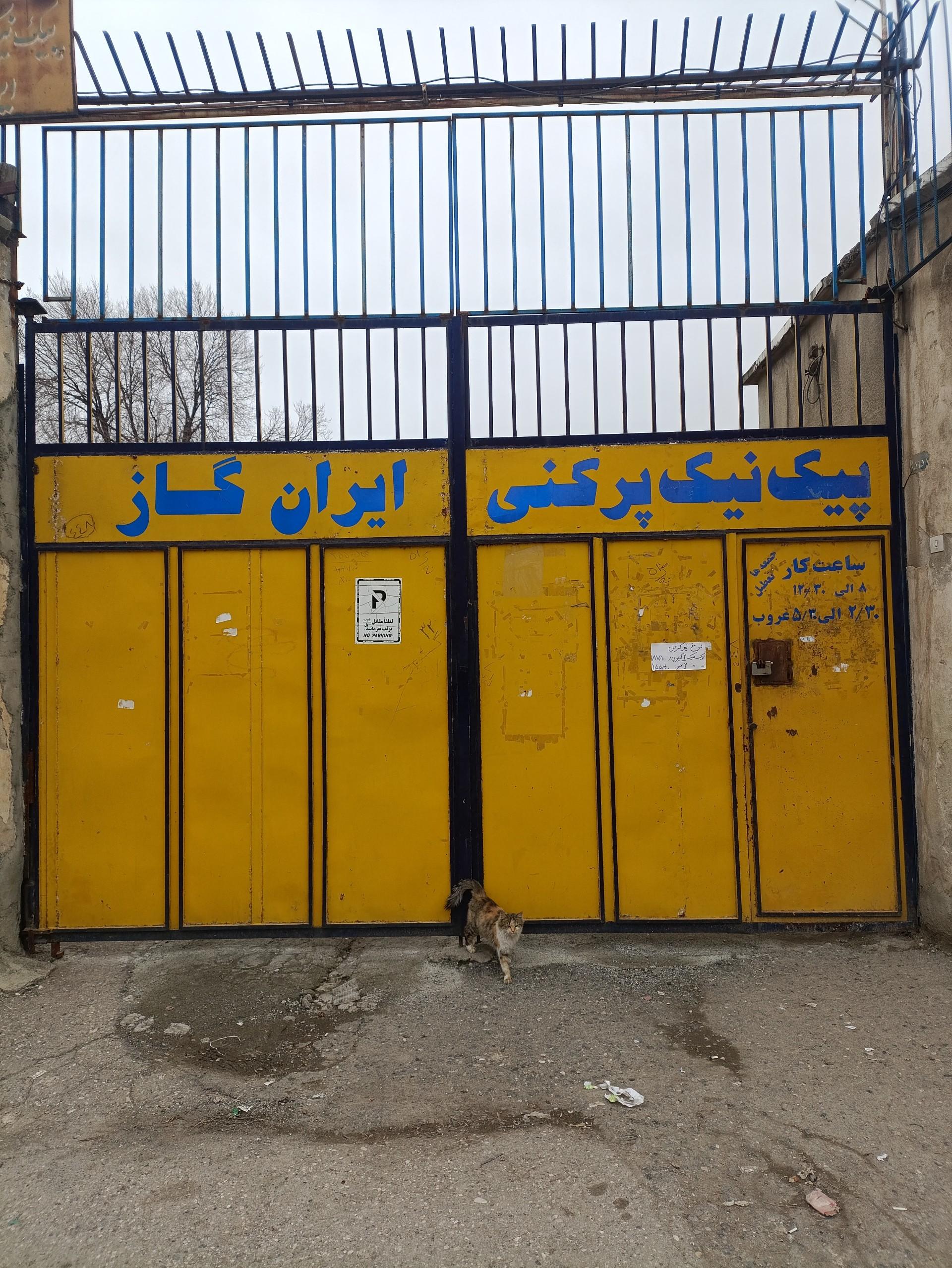 عکس پیک نیک پرکنی و گاز lpg