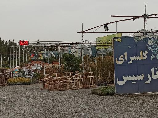 عکس گلسرای نارسیس