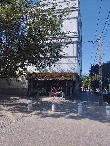 عکس باتری جوادپور