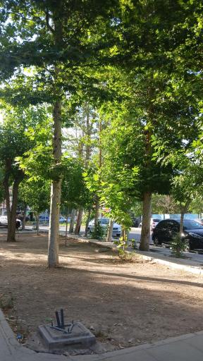 عکس فضای سبز