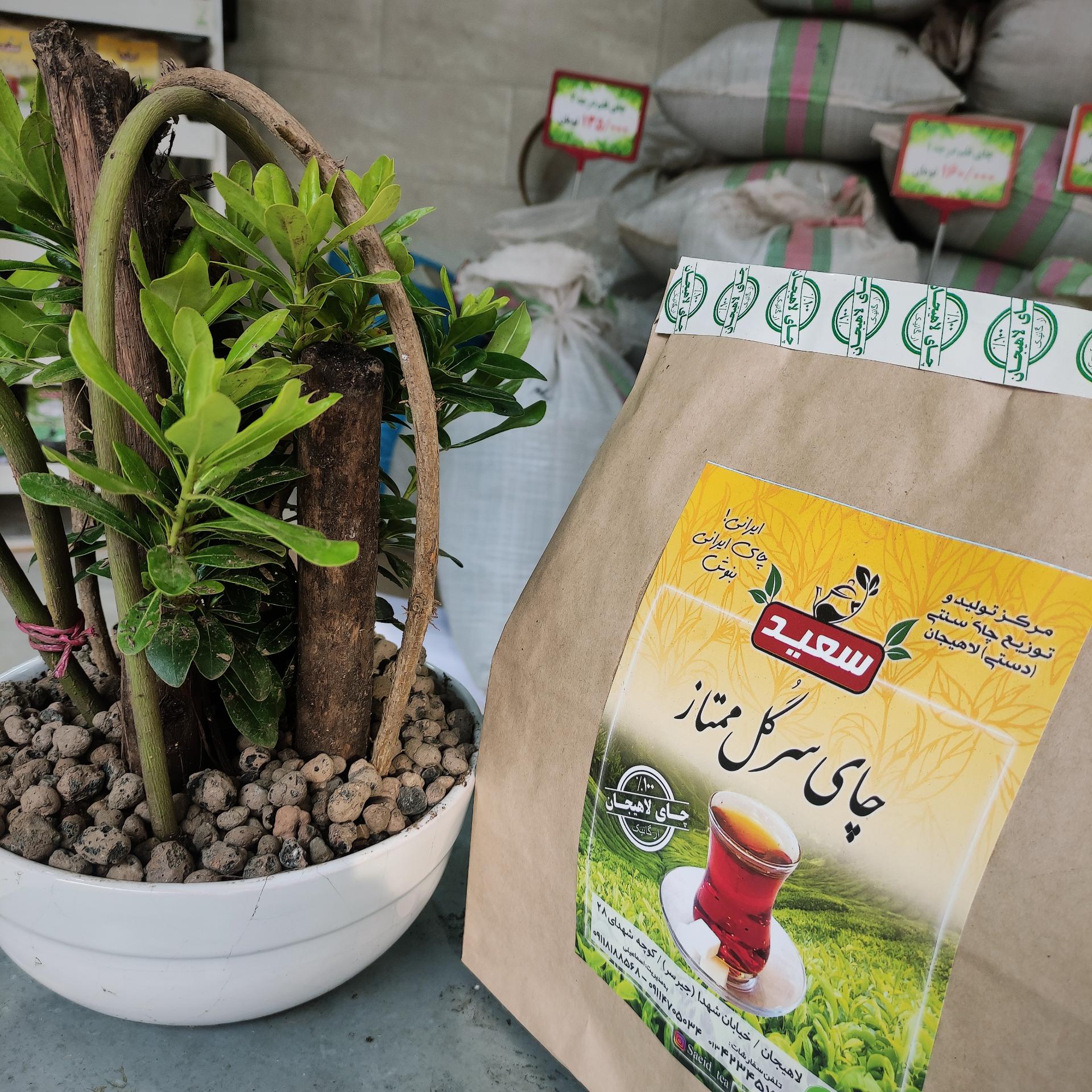 عکس چای لاهیجان (سعید)