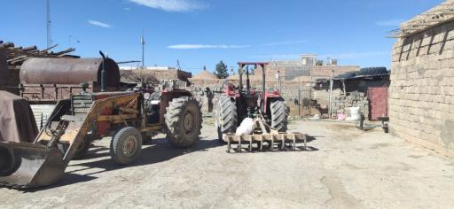 عکس گوسفنداری و گاوداری حسن باقری