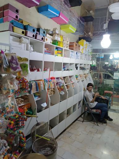 عکس بوستان قناری