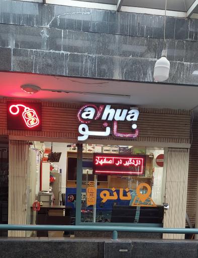 عکس دزدگیر نانو