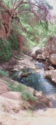 عکس آبشار تنگ تامرادی