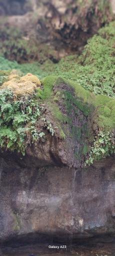 عکس آبشار تنگ تامرادی