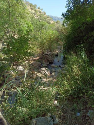 عکس آبشار تنگ تامرادی