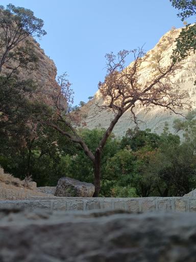 عکس آبشار تنگ تامرادی