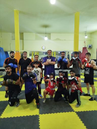 عکس باشگاه بوکس پرتویی