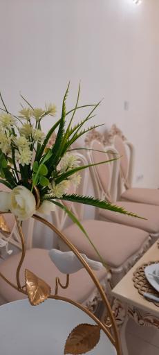 خانه عقد مهر و ماه