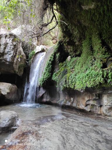 عکس آبشار تنگ تامرادی