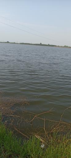 عکس استخر پرورش ماهی لموک