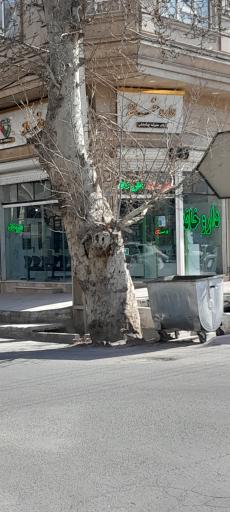 عکس داروخانه دکتر علیرضا خدابخشی