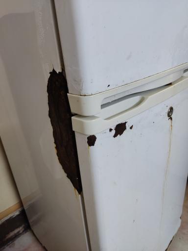 عکس هتل پارک قشم