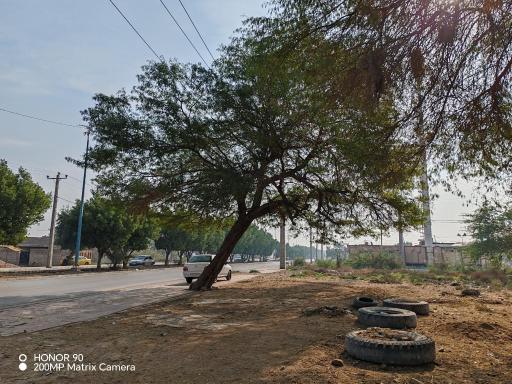 عکس پارک اروند