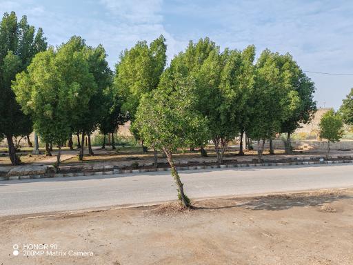 عکس پارک اروند