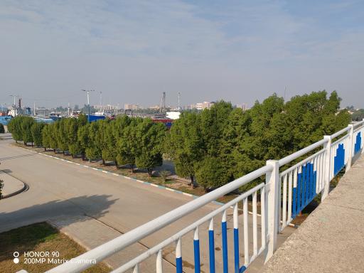 عکس پارک اروند