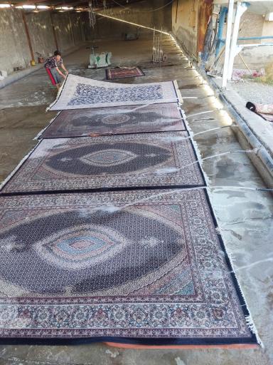 عکس قالی شویی اشکان