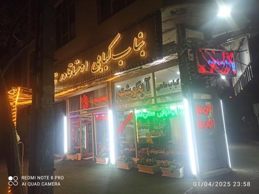 عکس کبابی قادر