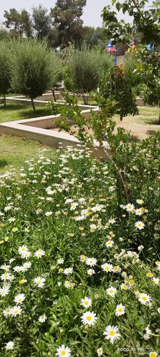 عکس بوستان شهدای کوچه بیوک