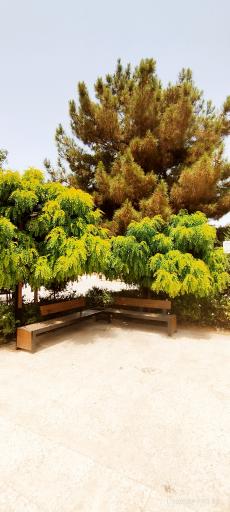 عکس بوستان شهدای کوچه بیوک