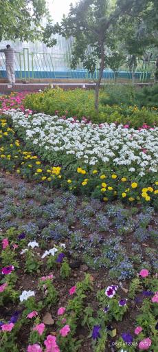 عکس پارک گل ها