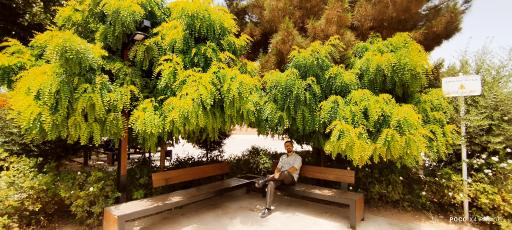 عکس بوستان شهدای کوچه بیوک