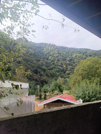 عکس کلبه چوبی آریانا