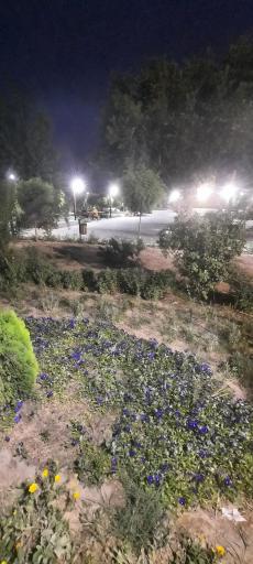 عکس پارک شهدای کوچه بیوک